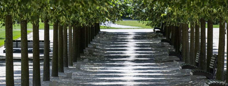 An allee of trees creates a pattern of light and shadow on a broad garden walkway.