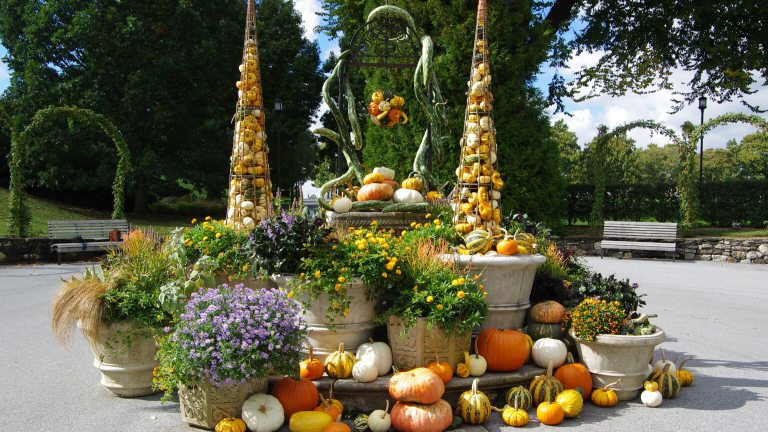 Colorful display of chrysanthemums and other fall flowers, pumpkins, and gourds in and around a wellhead and containers of various sizes.
