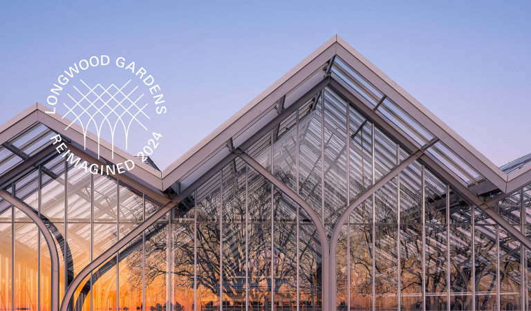 Conservatory windows reflecting a sunset and trees with commemorative stamp