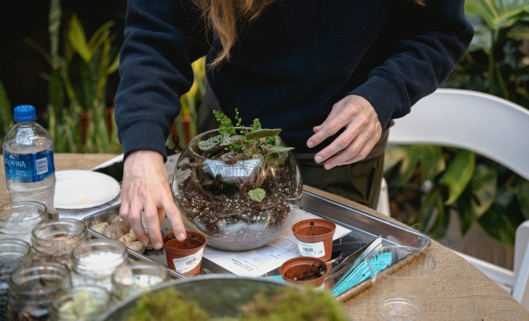 A person creating a small terrarium filled with plants and pebbles.