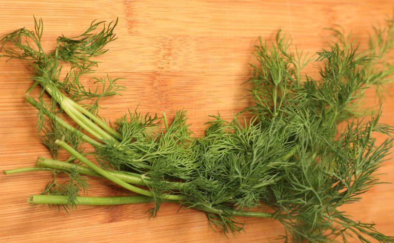 A bundle of dill lying on a wood cutting board.