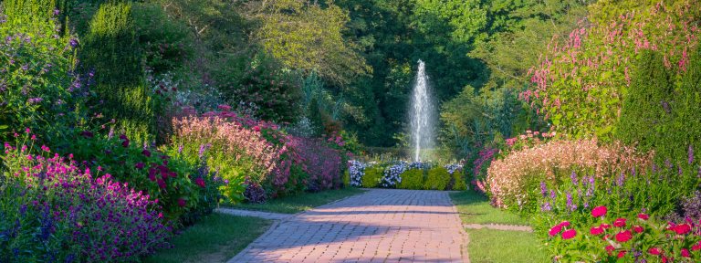 A view down a brick walk toward a single fountain, surrounded by flowers and foliage of various heights, textures, and colors.