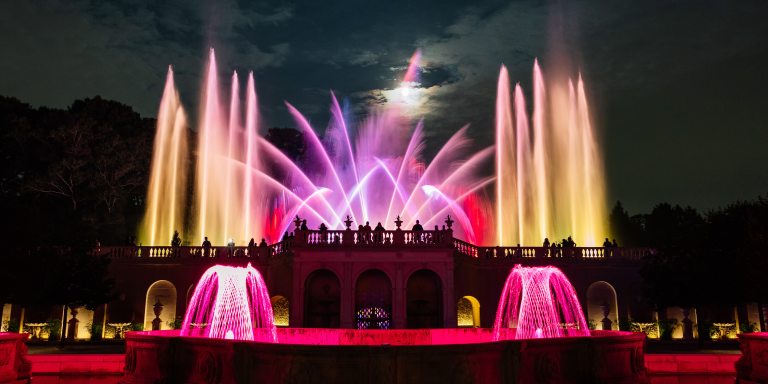 Tall golden fountain jets frame central fountains in fuchsia that interact with the light of an overcast moon, while two fuchsia basketweave fountains light up the foreground.