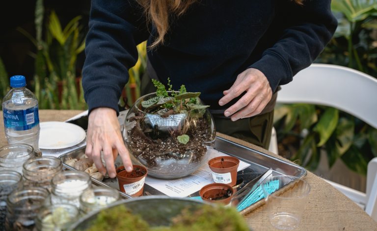 A person standing creating a terrarium with a range of materials and plants.