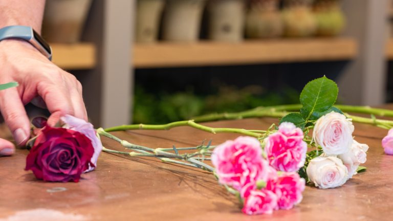 Several long-stem pink flowers lying on a table.