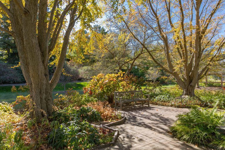A brick garden path and wood bench amid autumn foliage.