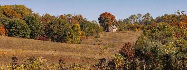 A two-story stone farmhouse with red trim sits at the far edge of a tree-lined meadow.