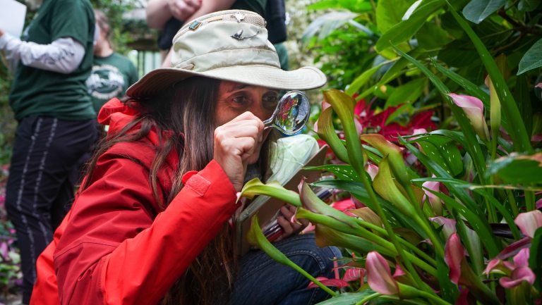 Woman examines plants through magnifying glass.