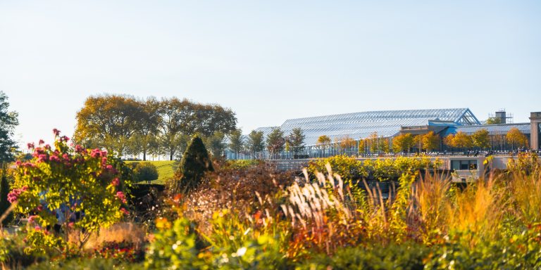 An expansive view of a long glass conservatory as seen through an autumn rose garden, against a pale blue-white sky.