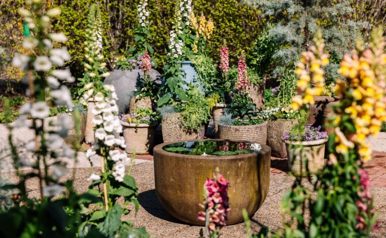 An outdoor hardscaped space containing a variety of spring floral containers.