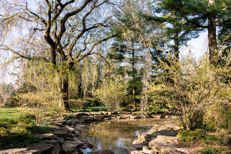 small stream surrounded by stones and trees