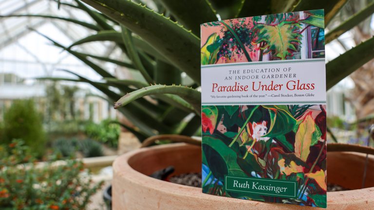 A colorful book entitled "Paradise Under Glass" is perched on the rim of a large clay pot containing a tropical plant.