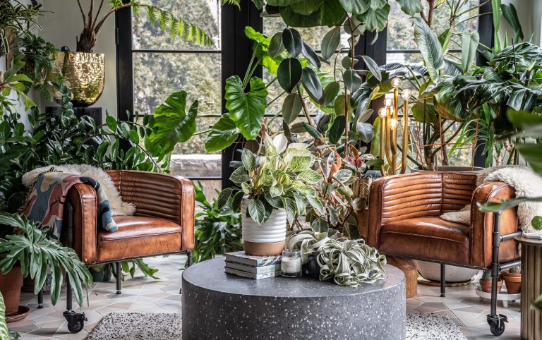 An indoor room with two tan leather chairs surround by plants of all varieties and heights.