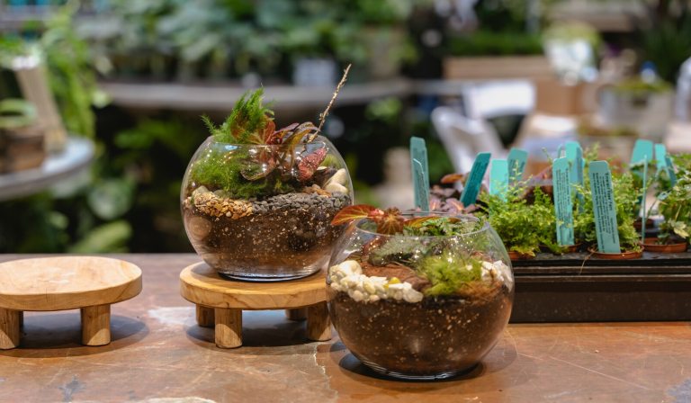 Two round terrariums on display in The Garden Shop.