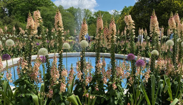 Spring flowers in a variety of heights surrounding a circular fountain.