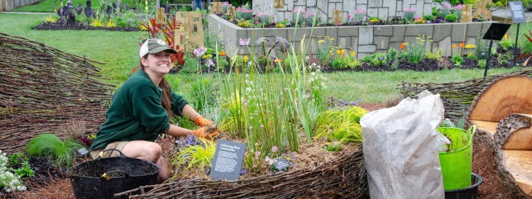 A person wearing a green sweatshirt, cap with Longwood logo, and orange gloves, smiles broadly at the camera while crouching in a colorful garden with hands full of mulch.