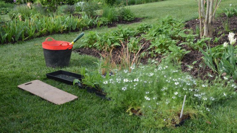 An outdoor garden bed with a large bucket and gardening tools laying on the grass beside the bed.