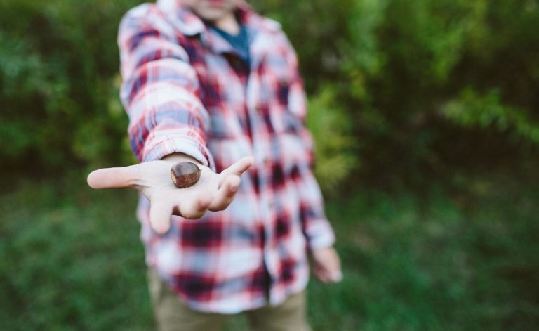 An outstretched arm of a child showing an acorn in the palm of their hand.