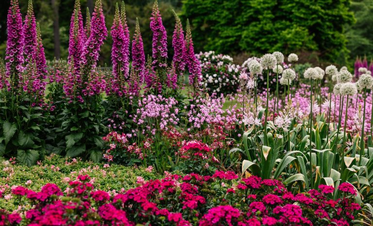 A lush, late-spring flower bed featuring a variety of red and pink flowers.