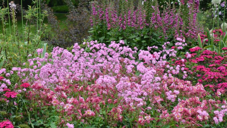 A lush, late-spring flower bed featuring a variety of red and pink flowers.