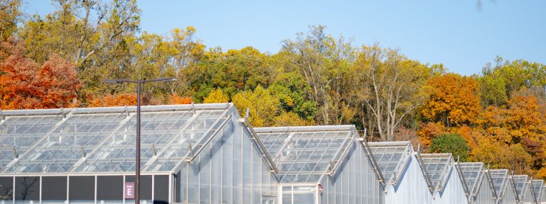 The peaks of seven connected glass greenhouses are featured amongst a background of trees with changing fall foliage. 