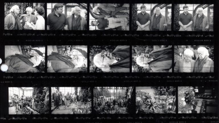black and white contact sheet of historic images of Roberto Burle Marx and members of the Longwood team and the public at the opening of the Cascade Garden
