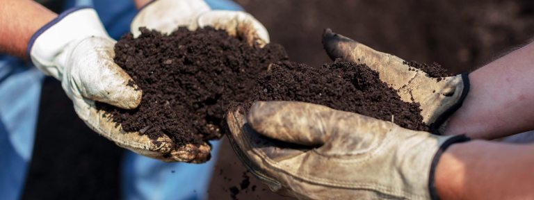 Two sets of hands in white work gloves, holding handfuls of soil.