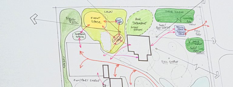 An illustrated planting plan for a garden.