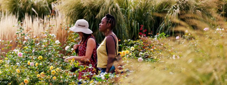 Two people with dark complexion in a lush outdoor garden in summer.