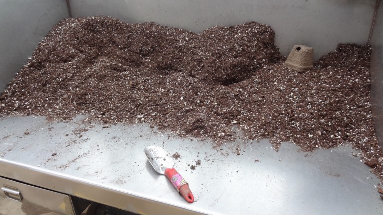 A bunch of soil in heaps on a metal table.