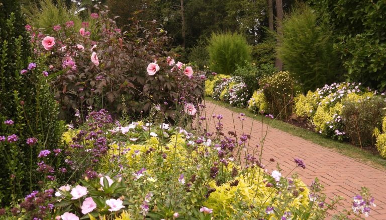 An outdoor garden featuring late summer blooms and a brick path way in the center.