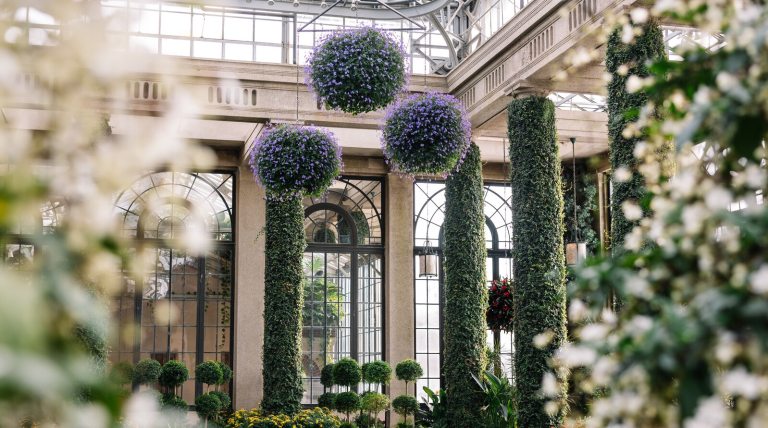 Three large hanging baskets inside the Conservatory at Longwood Gardens.