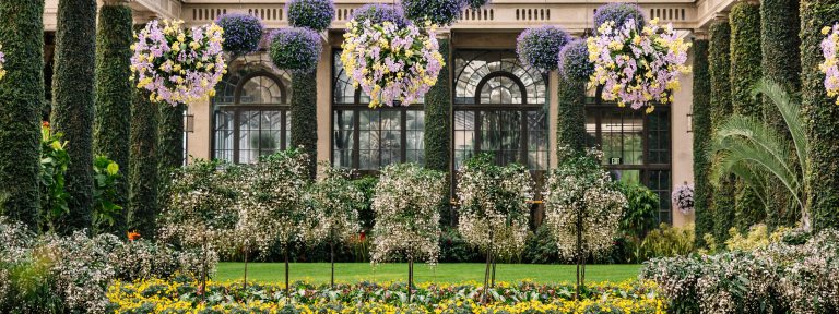 A view of the interior of Longwood's conservatory with hanging baskets, topiary-like trees, and yellow plants adjacent to lush green grass.