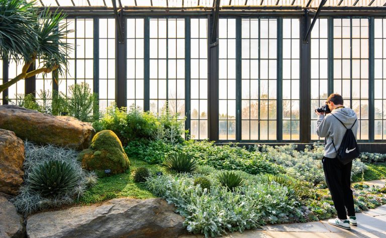 A person inside a conservatory, taking photos of succulents.