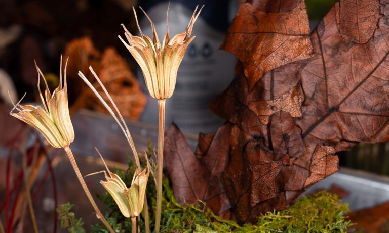 Dried floral leaves being used in an arrangement.