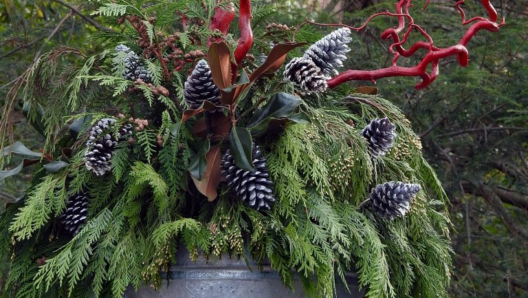 Closeup of outdoor metal planter filled with greens, pine cones, and bright red branches.