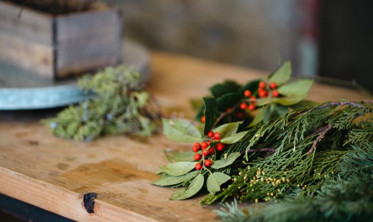 Holiday floral materials, like red berries, evergreen branches, and such laying on a wood table.