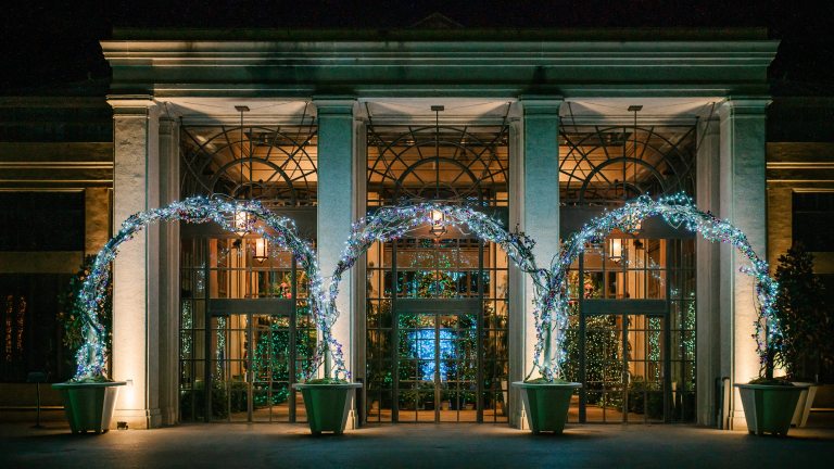 Arches of Christmas lights adorn the Conservatory entrance.