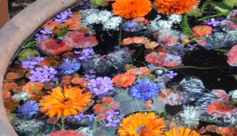A variety of purple, organce and white flowers floating in a pot filled with water.