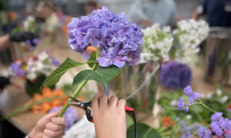 A person using floral design materials to snip a purple hydrangea bloom.