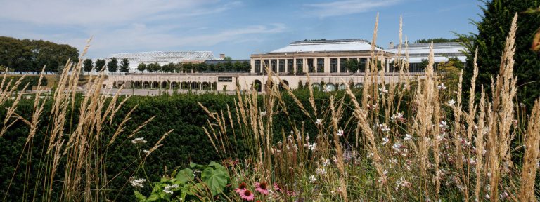 Conservatory buildings are viewed in the distance through garden grasses in the foreground