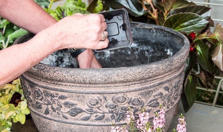 A persons hands planting plants in a decorative beige container.