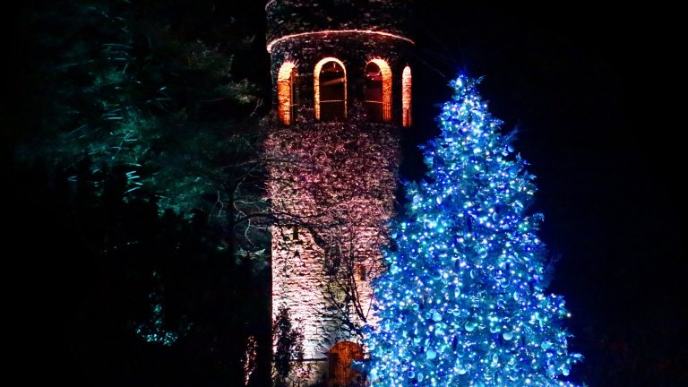Stone carillon tower lit up at night, with a large blue-lit Christmas tree in the right foreground, and dark green uplighting in the left background.