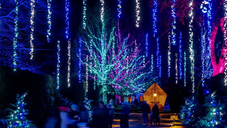 Nighttime view of a festive outdoor scene with trees adorned in blue, purple, and pink lights, and a glowing, star-shaped structure. People are casually strolling through the illuminated garden.