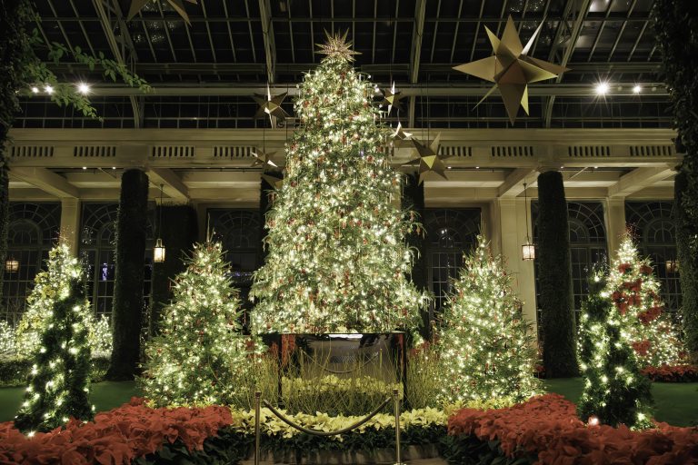 The Christmas display at Longwood Gardens, featuring decorated trees in inside the Conservatory.