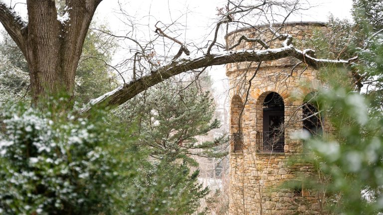 Closeup of stone bell tower amid snow-covered branches and evergreens.