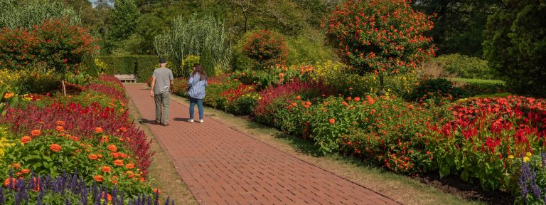 Diagonal view of two guests strolling down a brick walkway bordered by colorful late summer flowers.