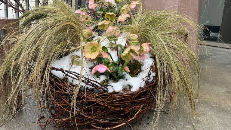 grass and flowers planted in a bird's nest-inspired container
