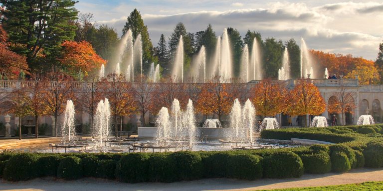 Tall fountain jets rise amid the fall foliage of an outdoor fountain garden.