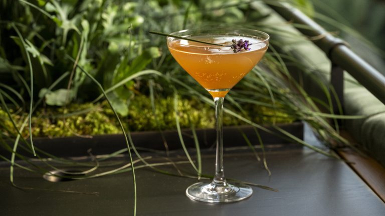 A close-up of a cocktail in a stemmed martini glass, featuring an orange or amber-colored liquid. The drink is garnished with a small sprig of lavender or herb. It sits on a dark surface, with a lush, out-of-focus background of green foliage, moss, and tall grasses, suggesting a garden or natural setting.